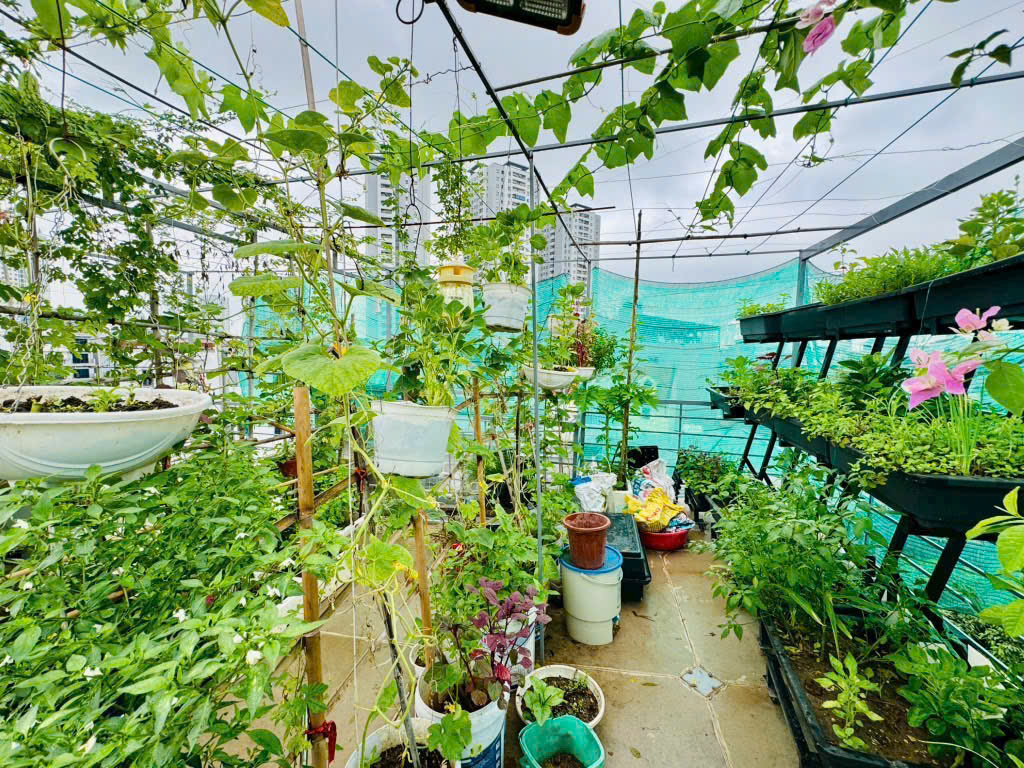 SIÊU PHẨM NGUYỄN CHÍNH – CĂN GÓC 6 TẦNG, Ô TÔ VÀO NHÀ, SÂN VƯỜN ĐẲNG CẤP – GIÁ 11,95 TỶ